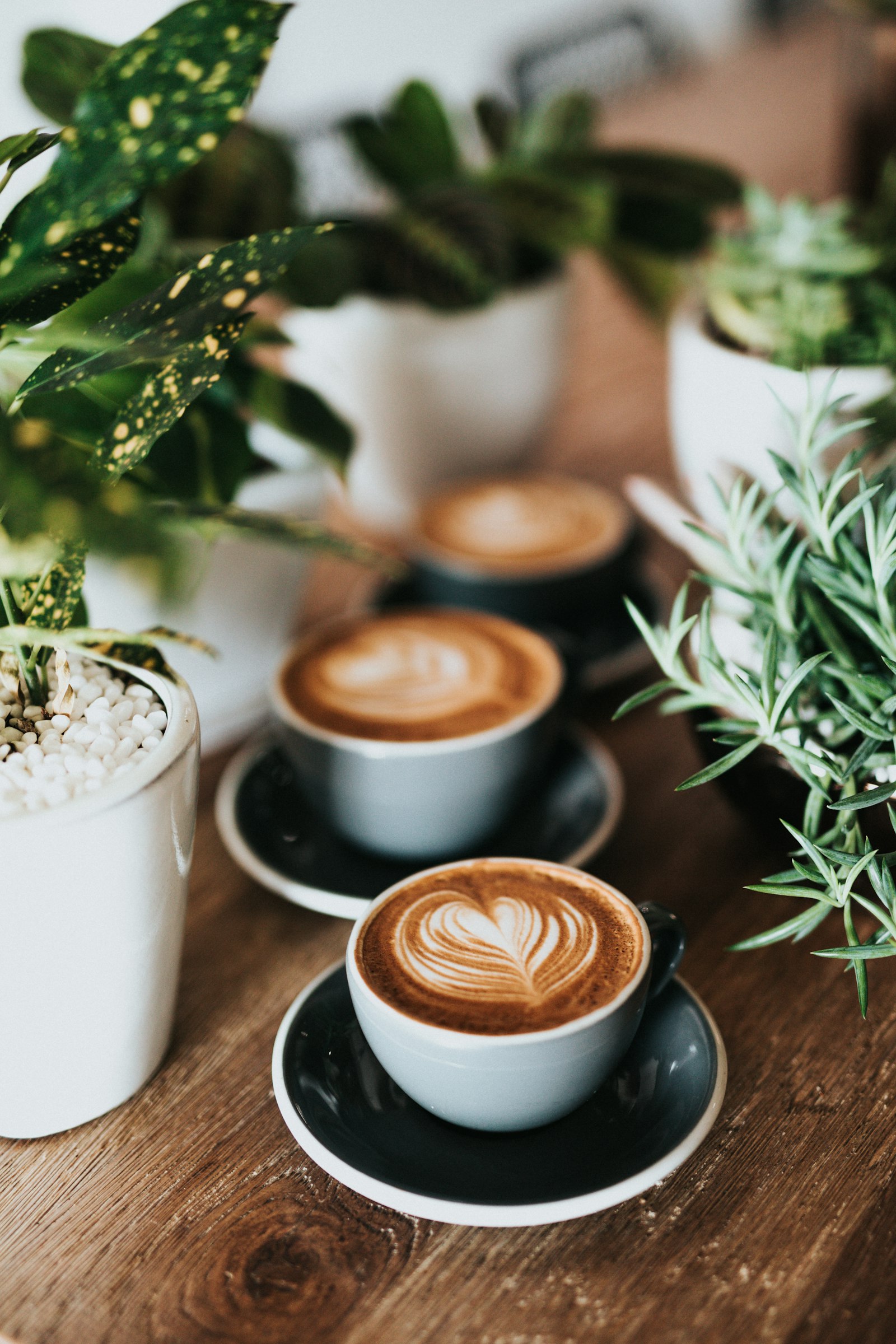 Latte art in a white cup surrounded by plants