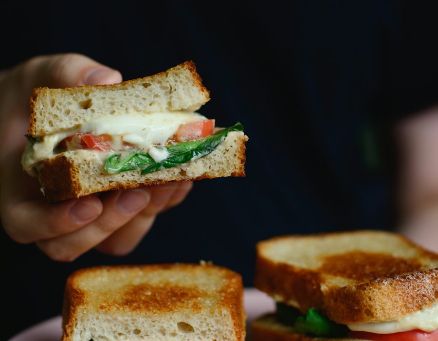 Very Special Grilled Cheese